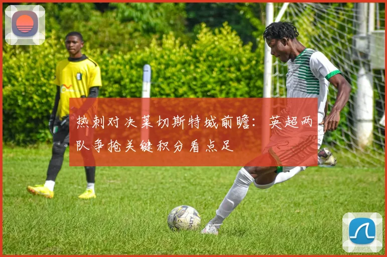 热刺对决莱切斯特城前瞻:英超两队争抢关键积分看点足